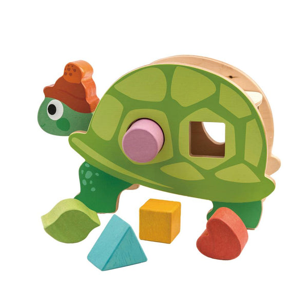 SHAPE SORTER TORTOISE