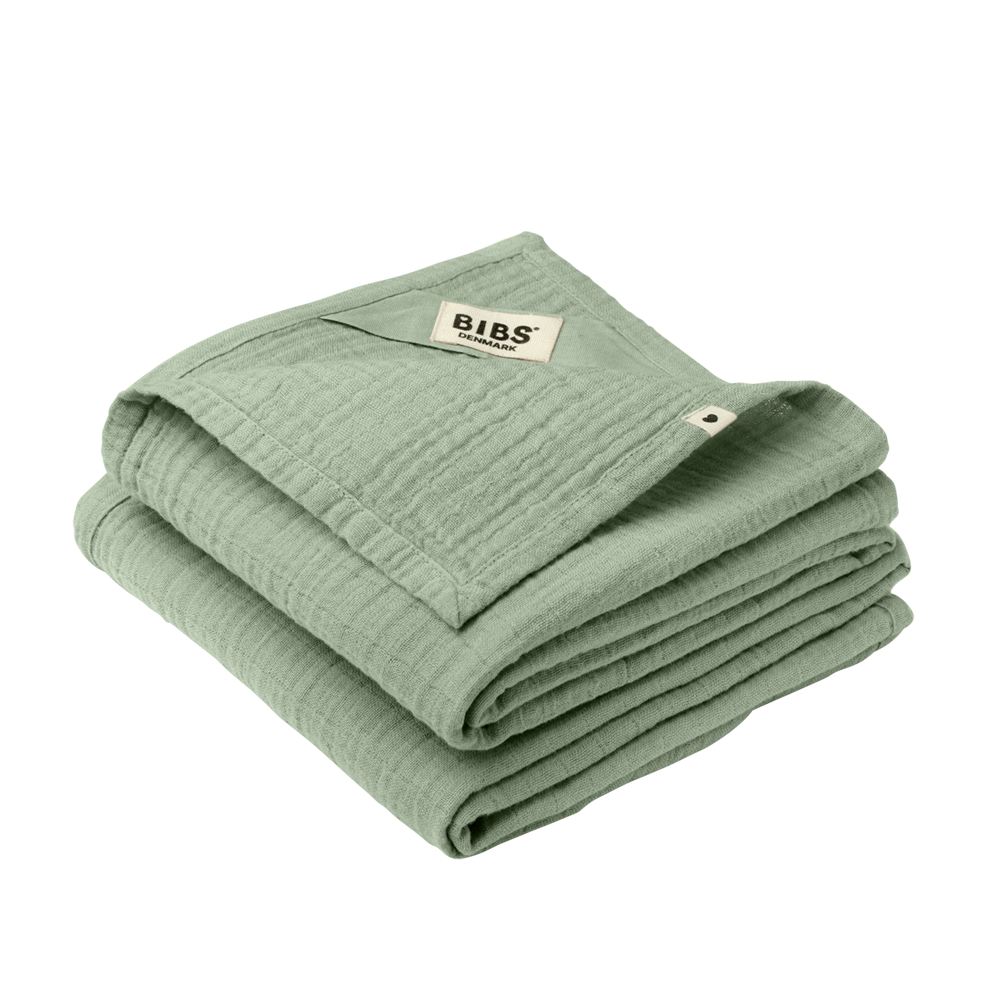 BIBS Cuddle Cloth Sage x2