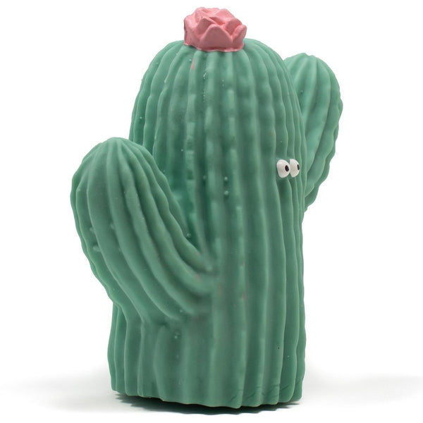 Lanco Frijolito the Cactus Teether & Bath Toy ( DISPLAY ITEM - BOX OF PACKAGING THORN)