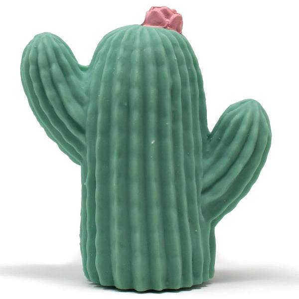 Lanco Frijolito the Cactus Teether & Bath Toy ( DISPLAY ITEM - BOX OF PACKAGING THORN)