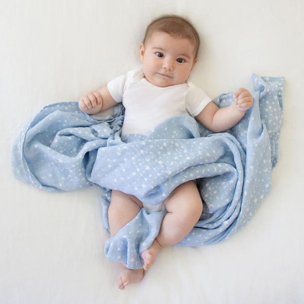 Aden + Anais Swaddles 2-pack - Rising Star