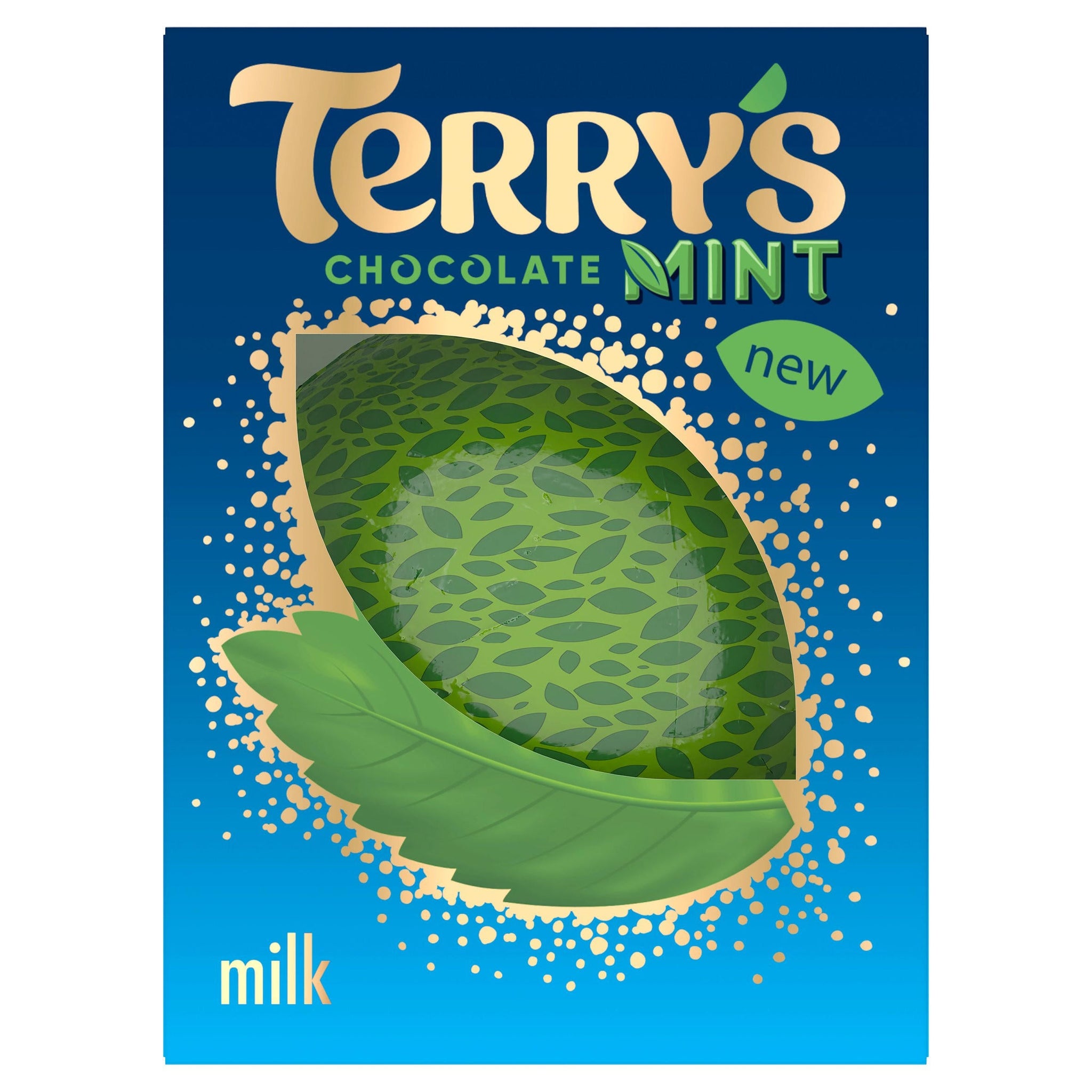 Terry's Chocolate Mint Milk Chocolate 145g